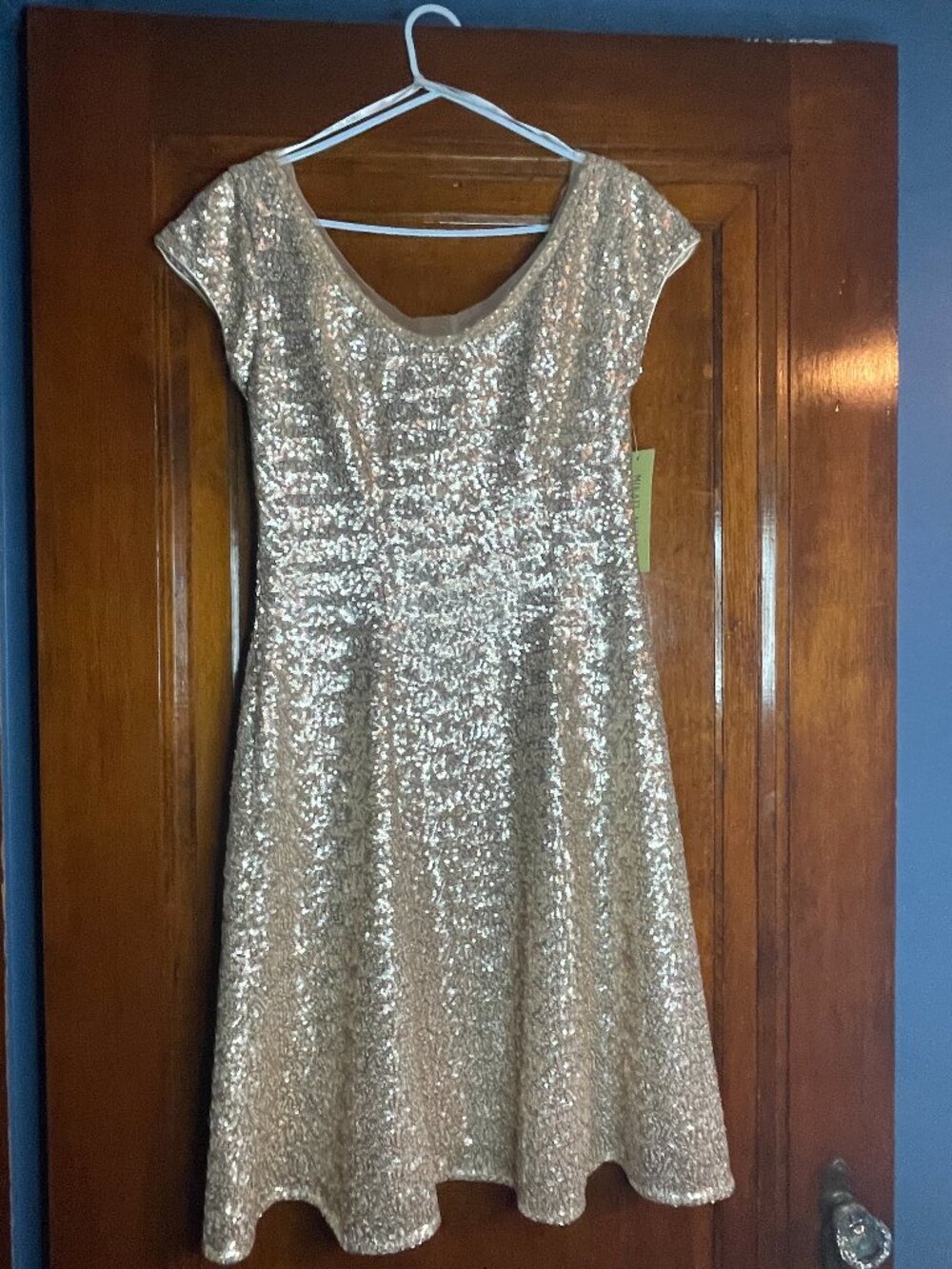 NWT Mikael Aghal Sequined A-Line Evening Dress in Champagne/Gold